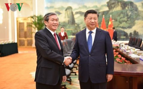 中共中央总书记、国家主席习近平会见越共中央书记处常务书记丁世兄